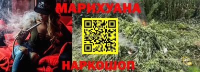 крисы Брянск