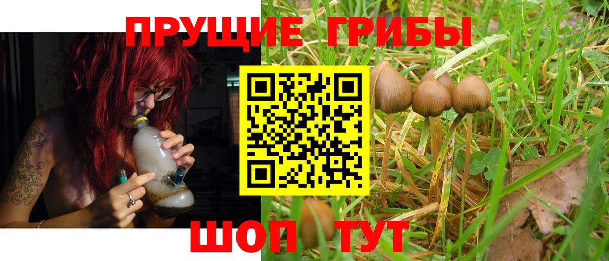 Галлюциногенные грибы Cubensis Киров