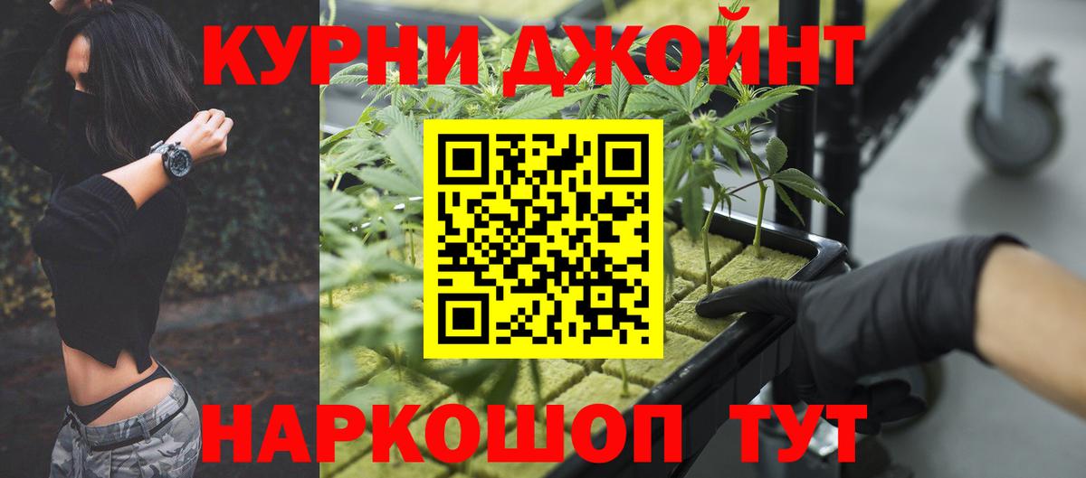 Каннабис план Киров